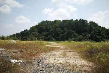 Gelang Patah Agricultural Land For Sales