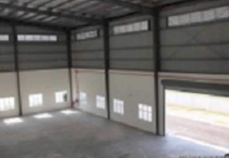 Gelang Patah Semi - D Factory For	Sales