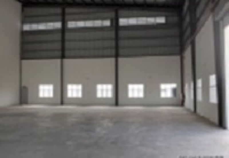 Gelang Patah Semi - D Factory For	Sales