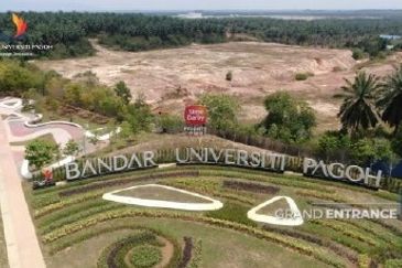 Bandar Universiti Pagoh, Pagoh Special Economic Zone (PSEZ) 