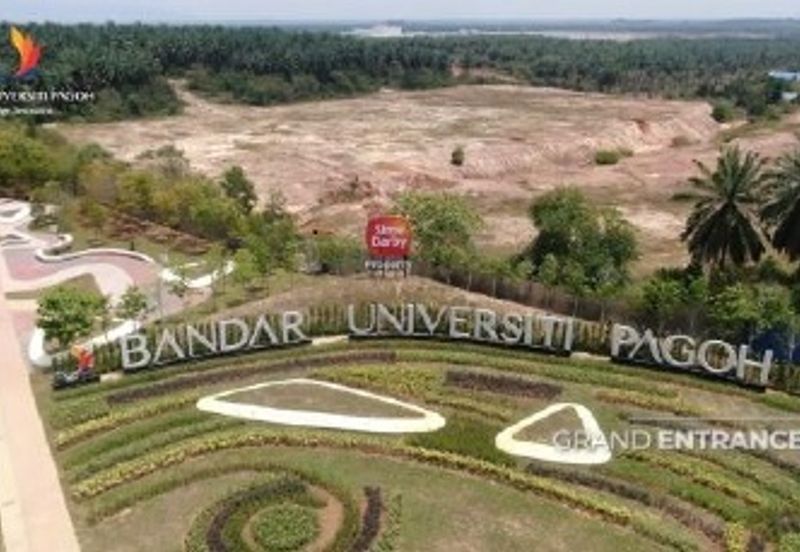 Bandar Universiti Pagoh , Pagoh Special Economic Zone (PSEZ)