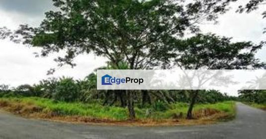 2 Acres Agriculture Land For Sales In Pontian, Johor, Pontian