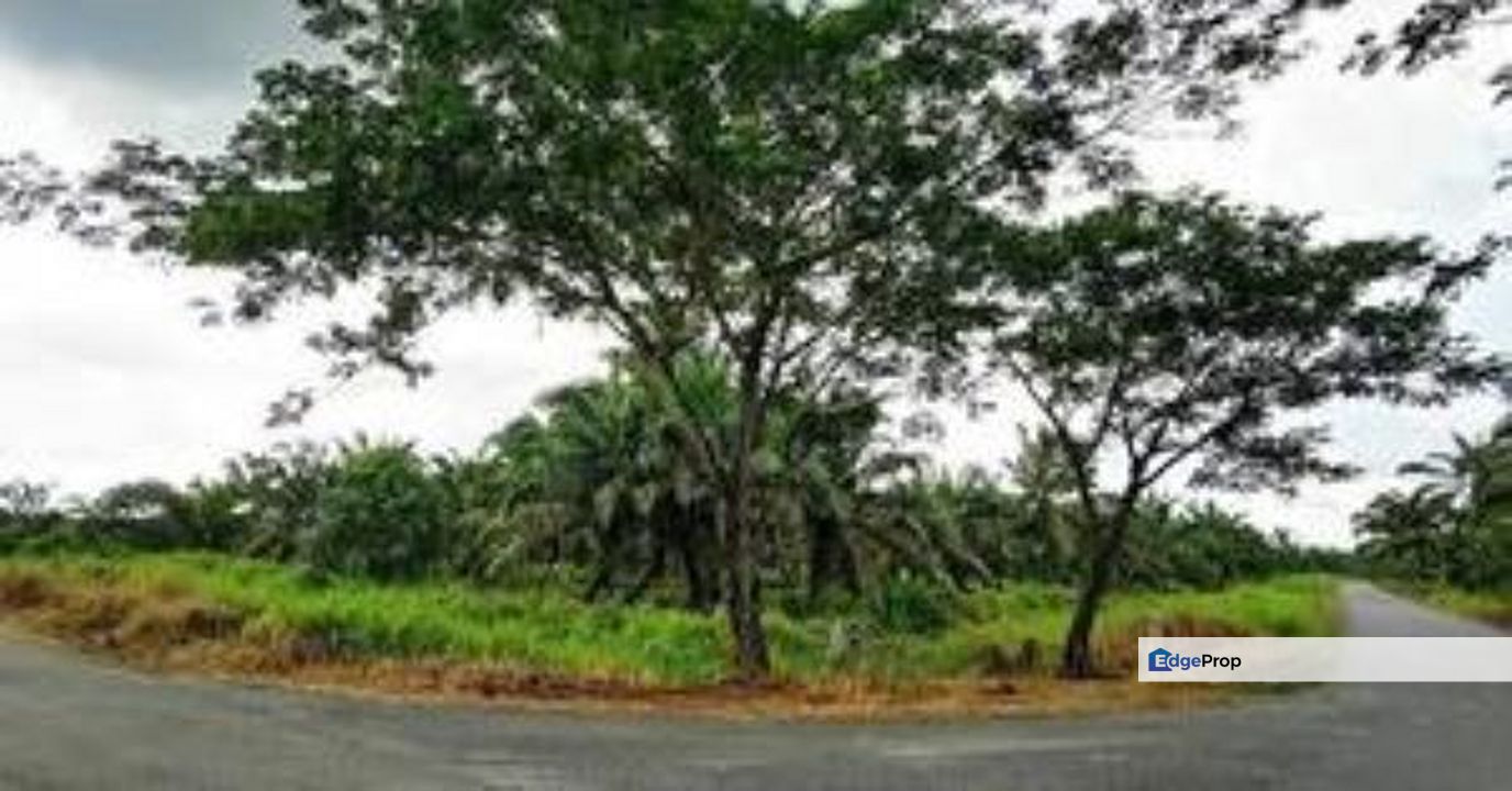 2 Acres Agriculture Land For Sales In Pontian, Johor, Pontian