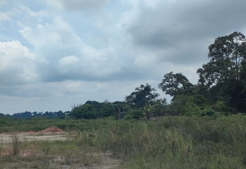Pekan Nanas, Johor Industrial Land For Sales