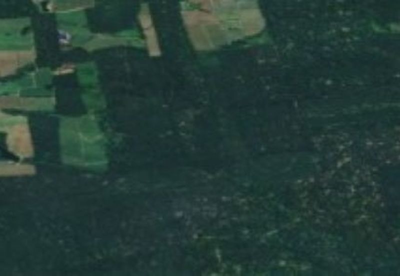 Senai, Johor Agriculture Land	For Sale