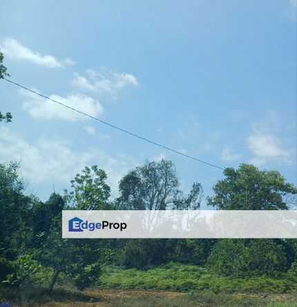 Gelang Patah residential land for sale, Johor, Gelang Patah