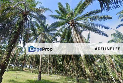 Seri Alam Agricultural Land, Johor, Masai