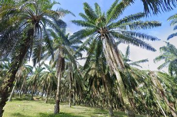 Bandar Baru Seri Alam