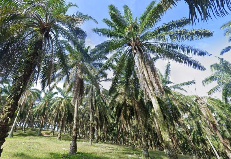 Bandar Baru Seri Alam