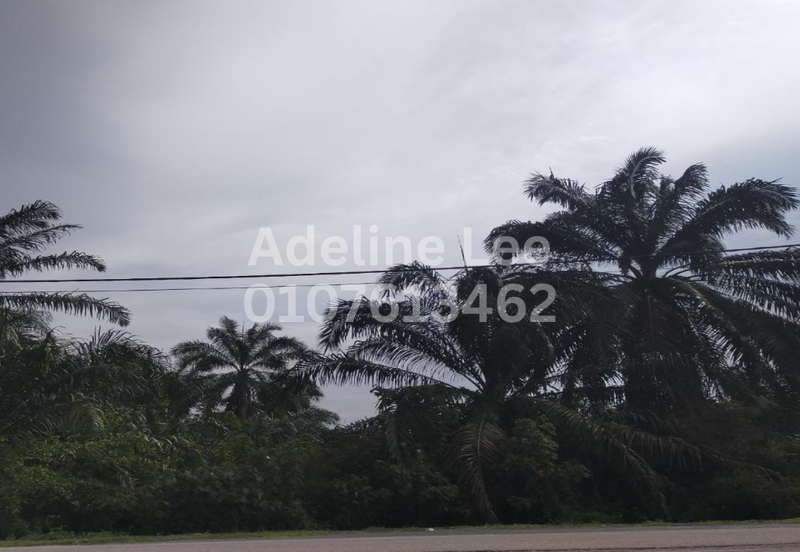 Pekan Nanas Industrial