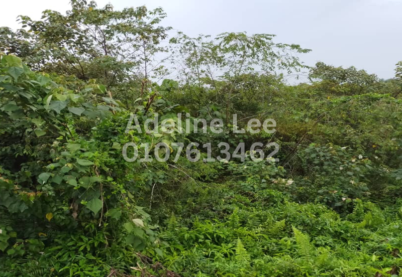 Pekan Nanas Industrial