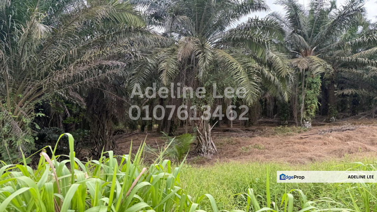 Senai, Kulai, Johor, Johor, Kulai