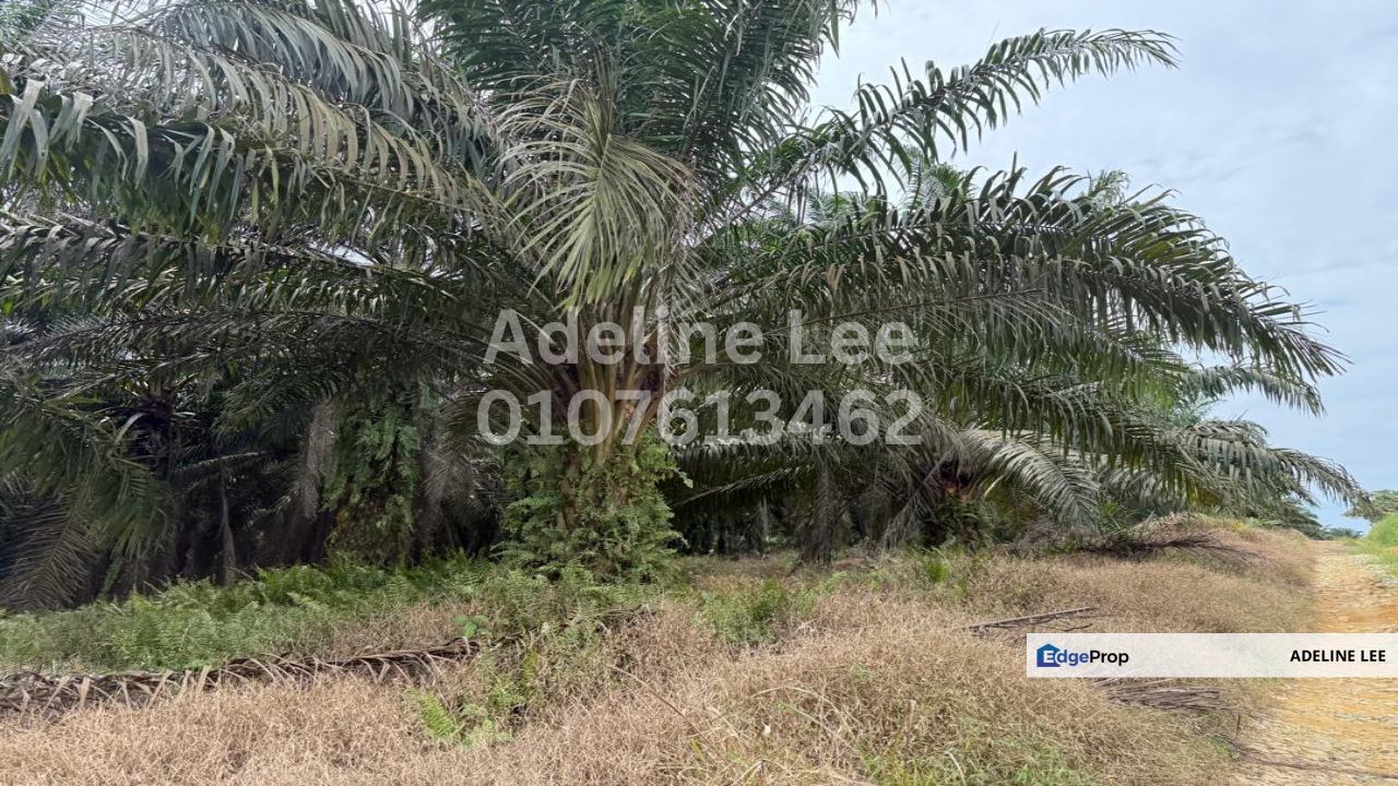 Senai, Kulai, Johor, Johor, Kulai