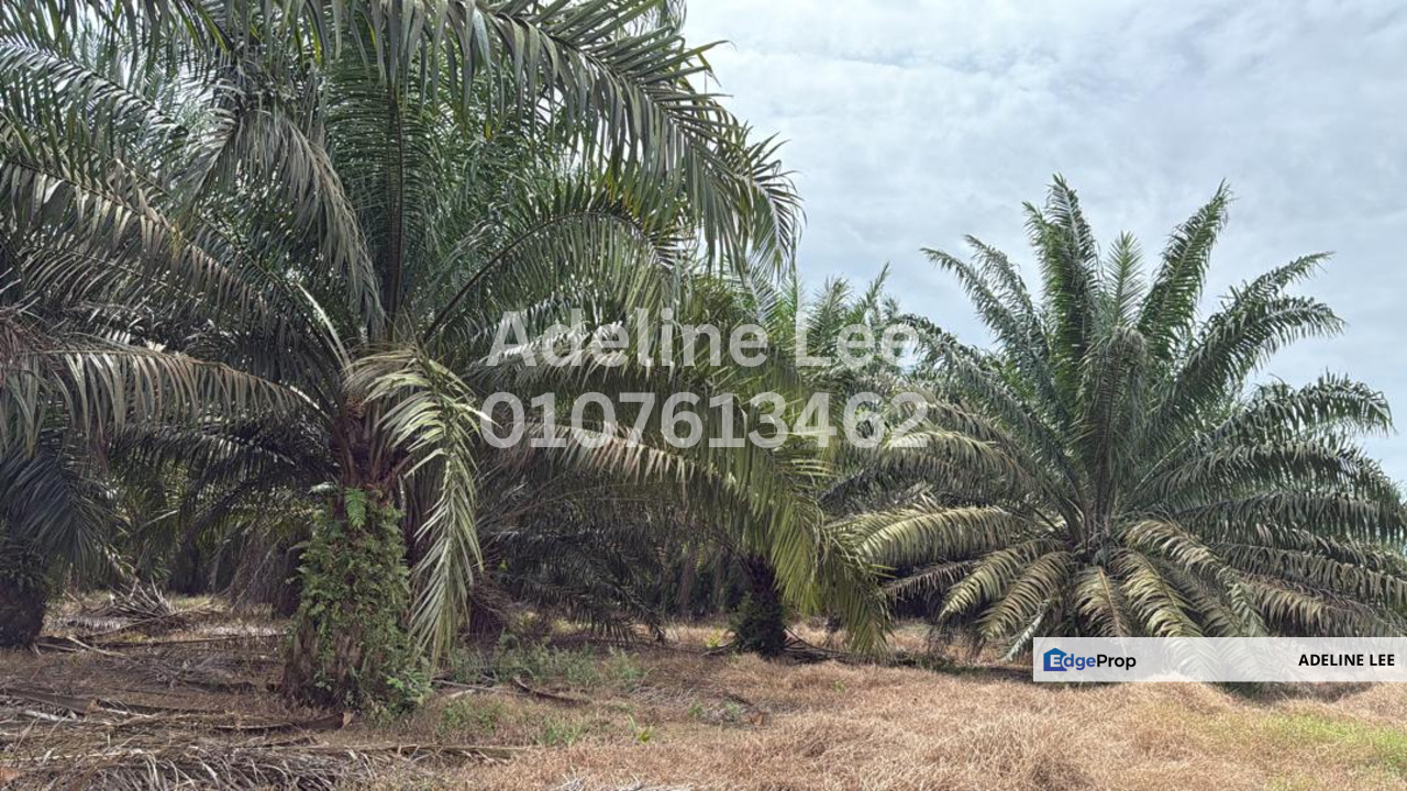 Senai, Kulai, Johor, Johor, Kulai