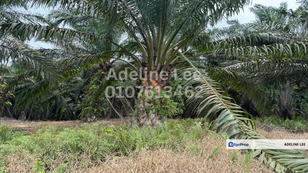 Senai, Kulai, Johor, Johor, Kulai