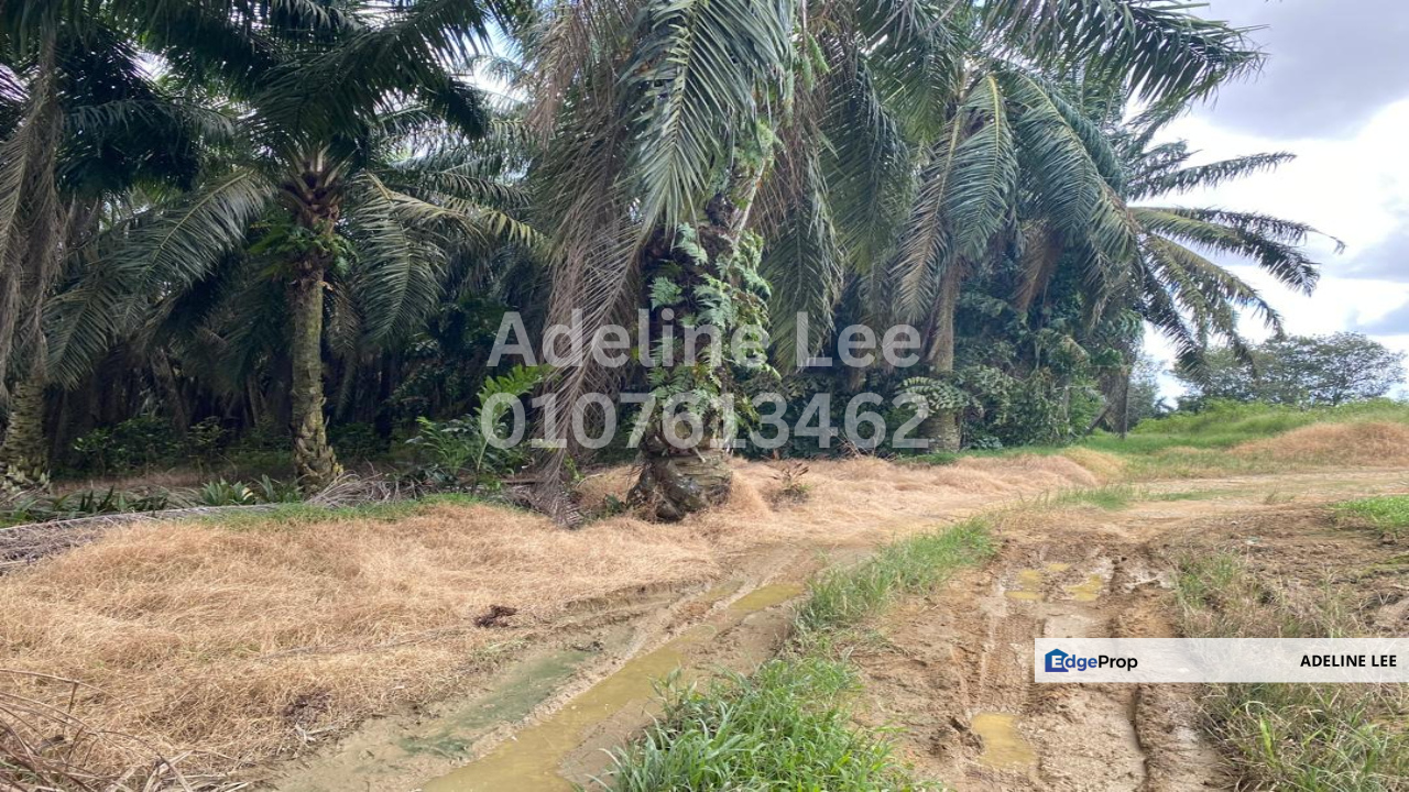 Senai, Kulai, Johor, Johor, Kulai