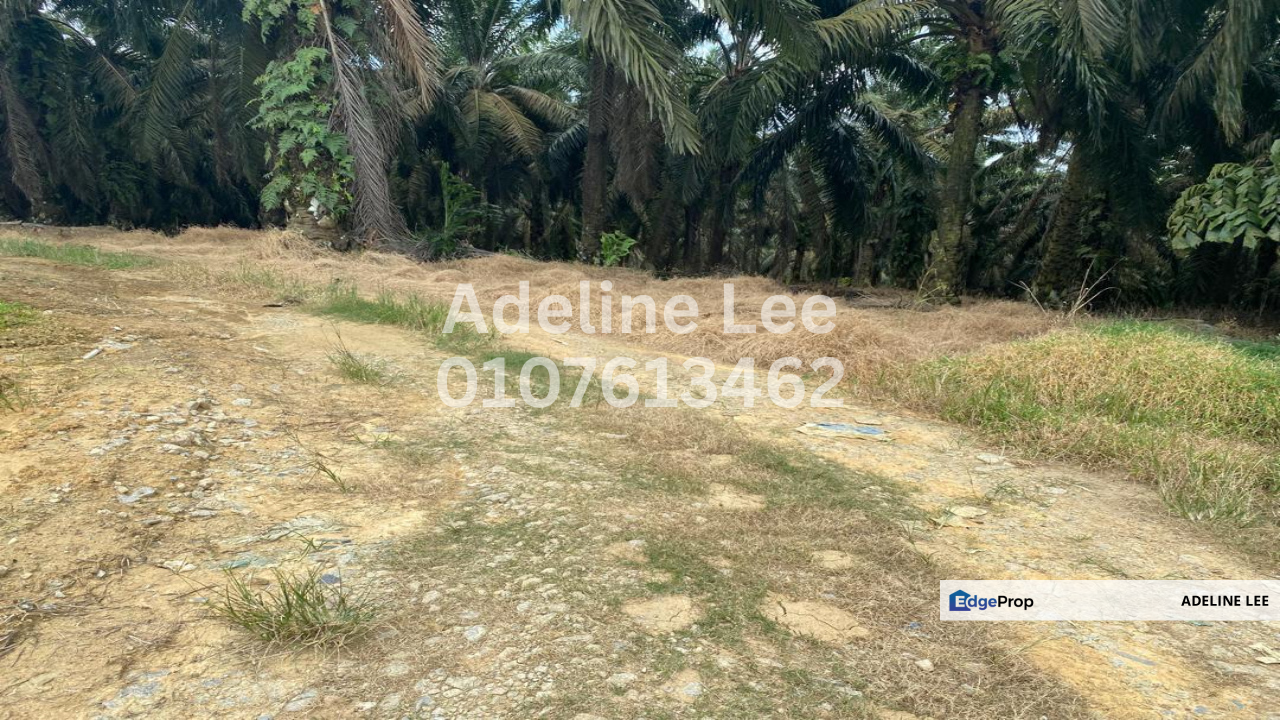 Senai, Kulai, Johor, Johor, Kulai