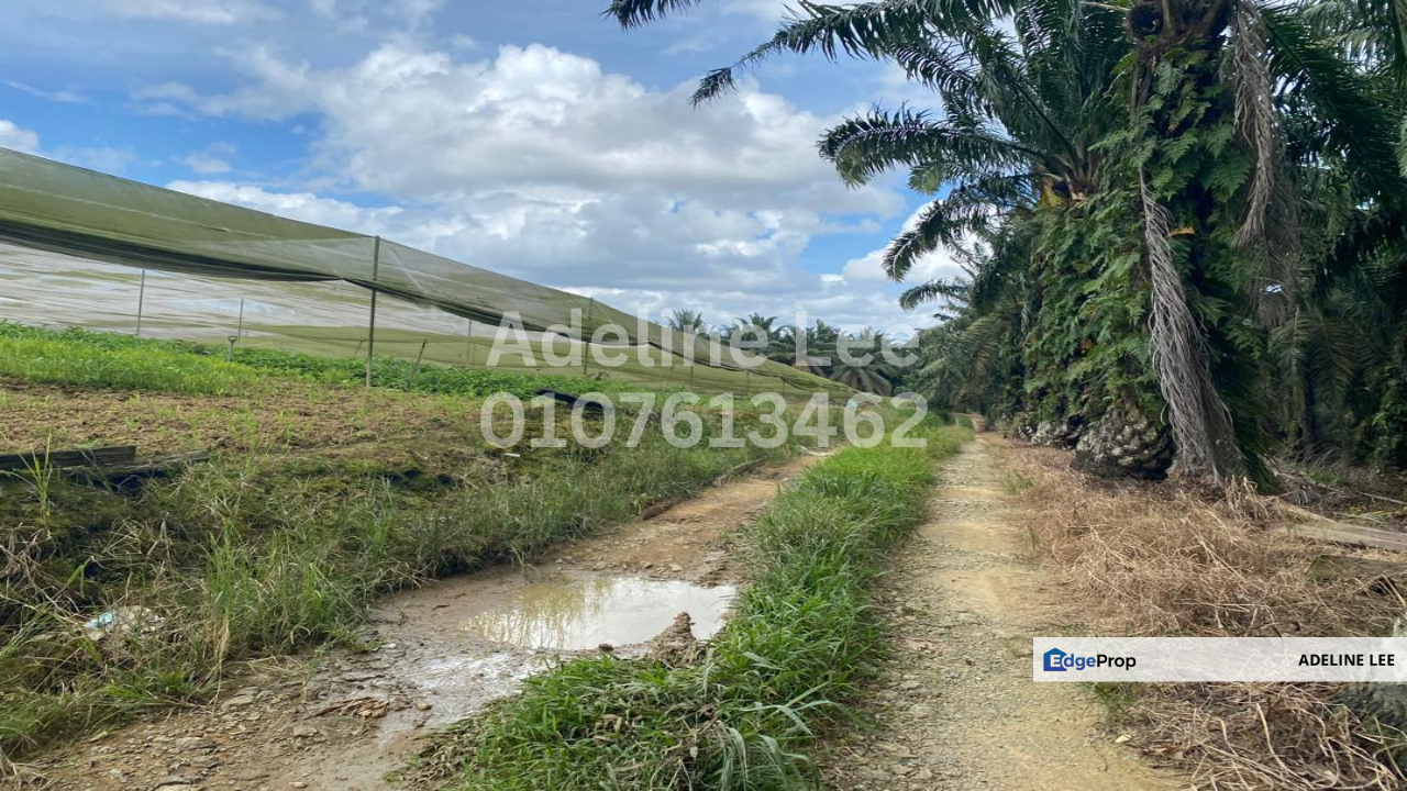 Senai, Kulai, Johor, Johor, Kulai