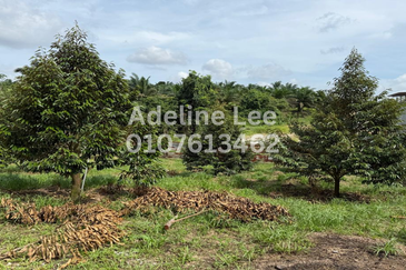 Taman Desa Cemerlang