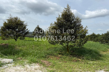 Taman Desa Cemerlang