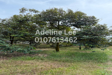 Taman Desa Cemerlang