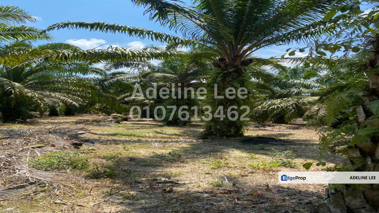 Pontian Besar, Pontian, Johor, Johor, Pontian