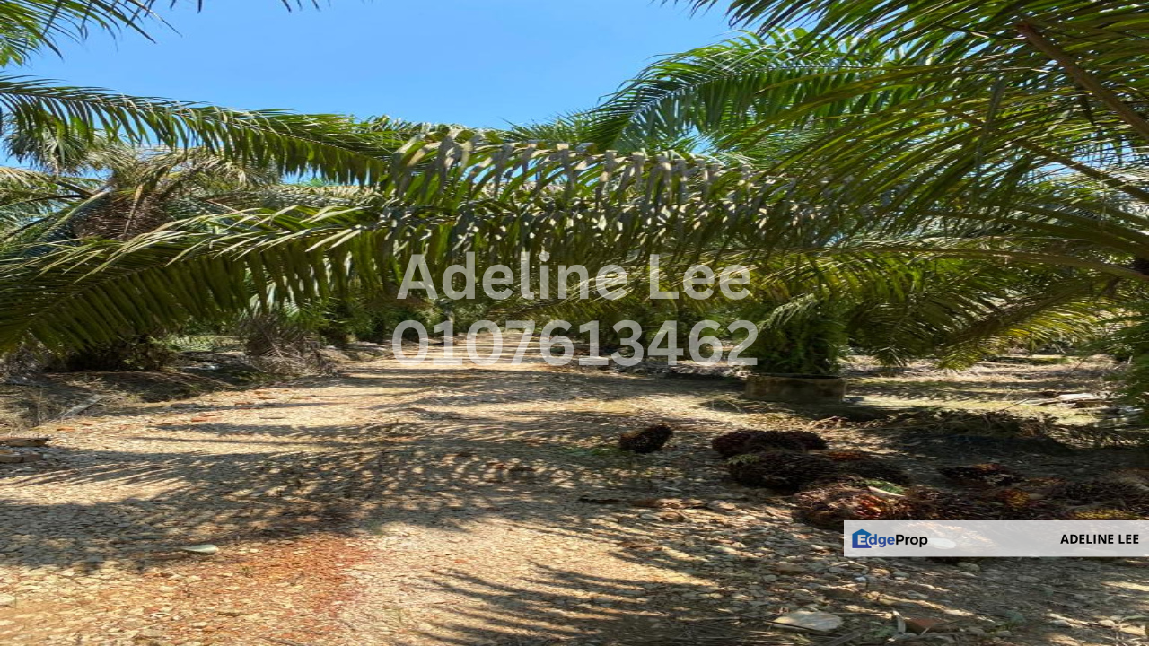 Pontian Besar, Pontian, Johor, Johor, Pontian