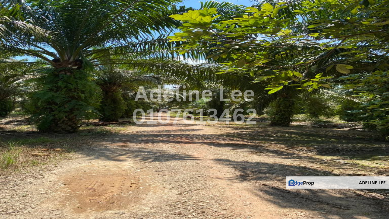 Pontian Besar, Pontian, Johor, Johor, Pontian