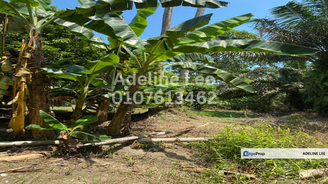 Pontian Besar, Pontian, Johor, Johor, Pontian