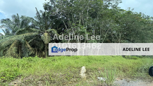 Seelong, Senai, Johor, Johor, Senai