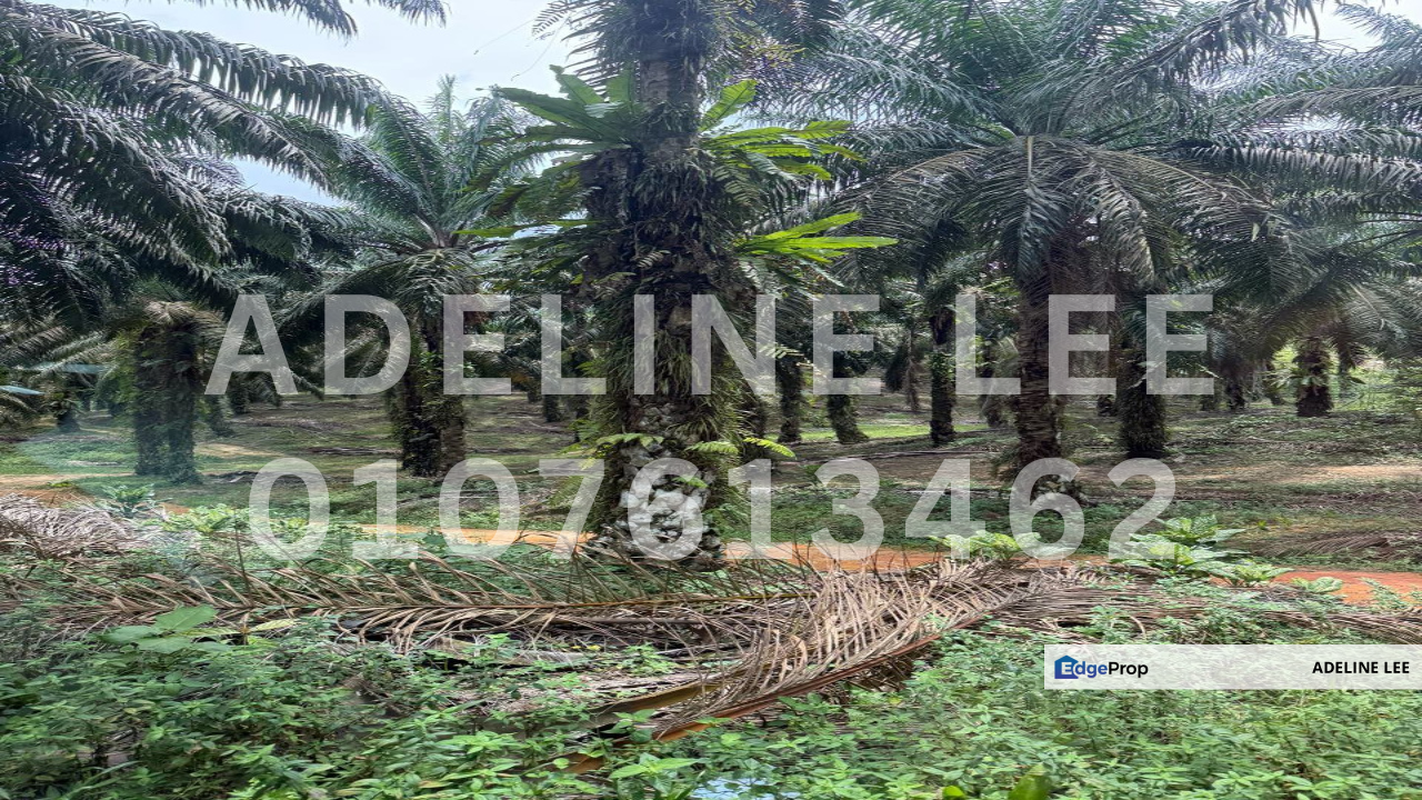 Bandar Cemerlang, Daerah Johor Bahru, Johor, Johor, Ulu Tiram