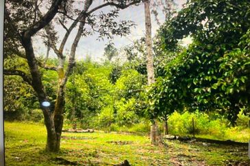 For Sale 📍Tanah Pertanian untuk dijual di Lubok Kelubi, Hulu Langat, Selangor