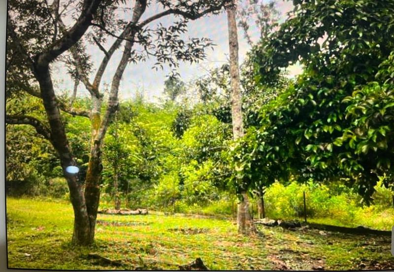 For Sale 📍Tanah Pertanian untuk dijual di Lubok Kelubi, Hulu Langat, Selangor