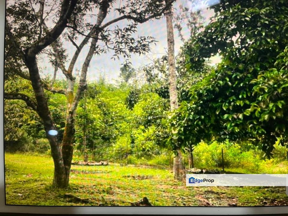 For Sale 📍Tanah Pertanian untuk dijual di Lubok Kelubi, Hulu Langat, Selangor, Selangor, Hulu Langat