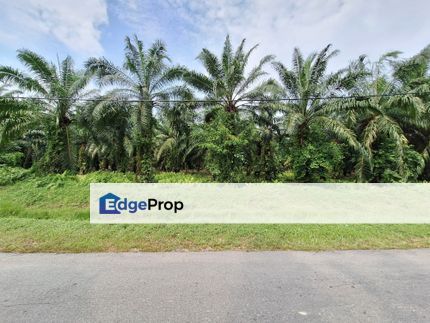 Tanjung Dua Belas, Industrial land in established area, Selangor, Banting