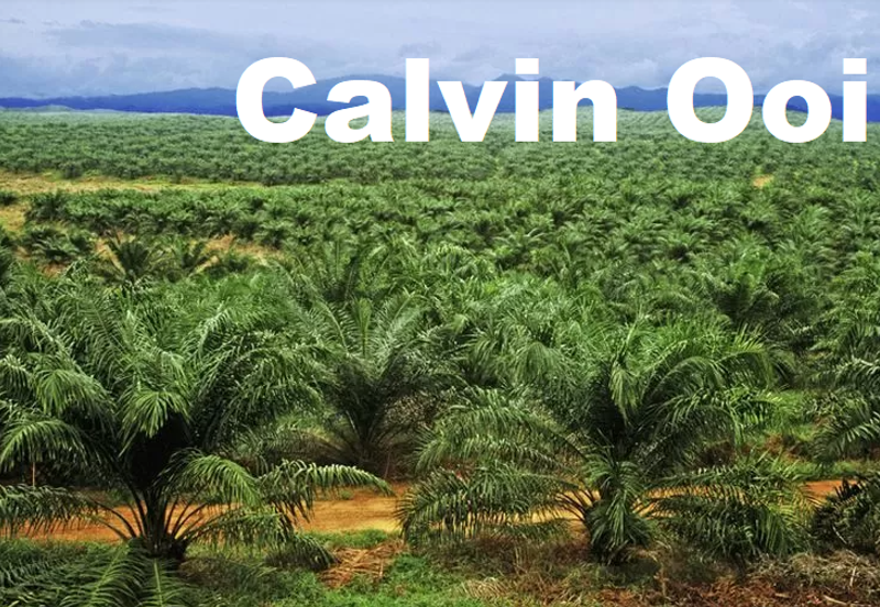 Industrial Land Near To Penanti Ara Kuda