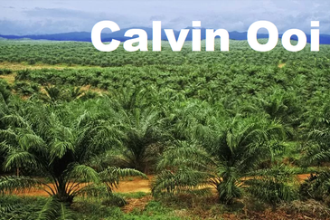 Industrial Land Near To Penanti Ara Kuda