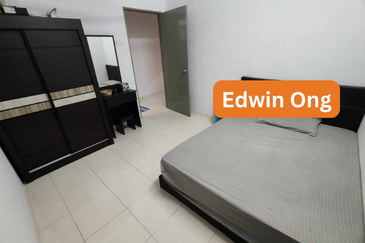 The Rise Collection 2