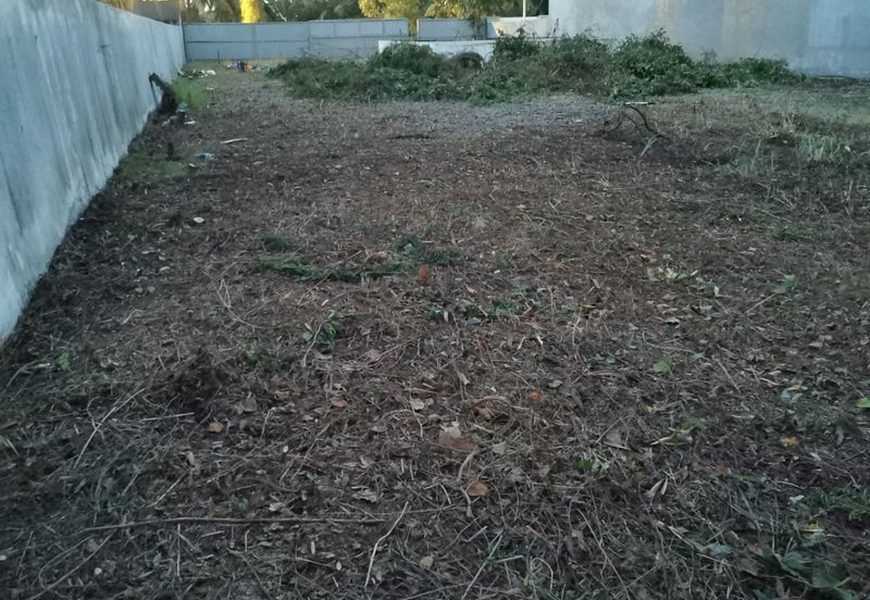  Rare Freehold Industrial Land For Sale At Alor Setar