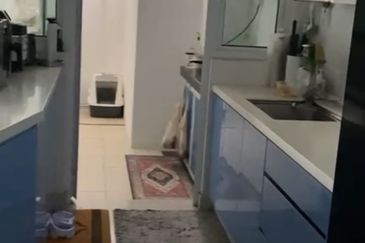 Scenaria (Laman Scenaria Kiara)