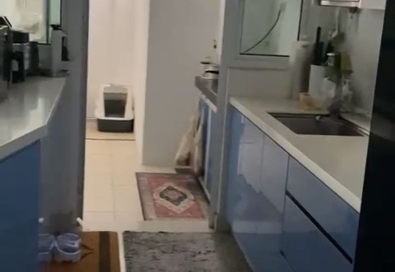 Scenaria (Laman Scenaria Kiara)