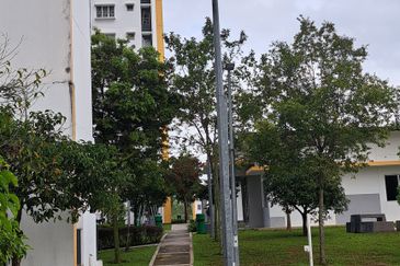 Rumah Selangorku De Palma