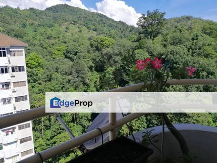 Gambeir Heights[900sf] Fully Renovated Furnished, Penang, Gelugor