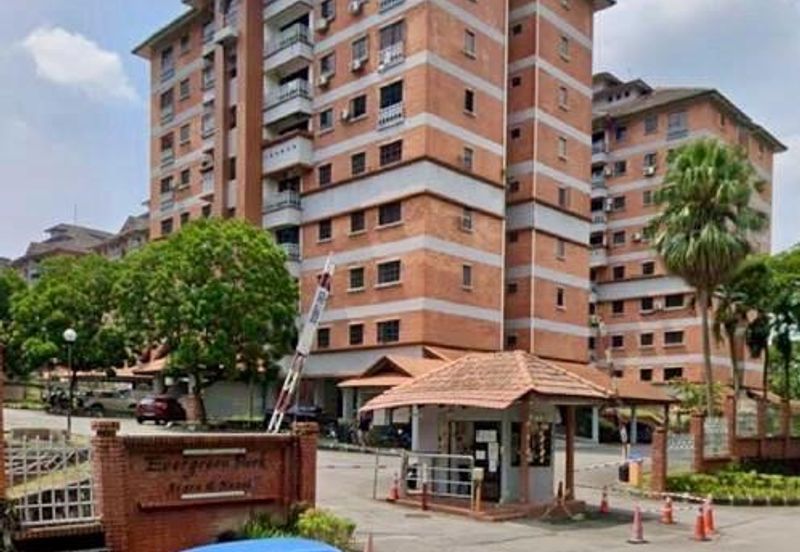 Evergreen Park Acorn and Hazel