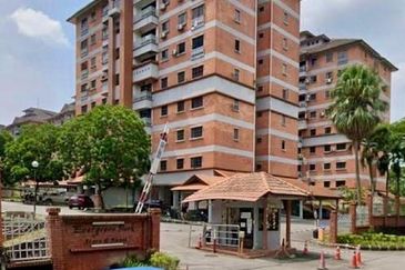 Evergreen Park Acorn and Hazel