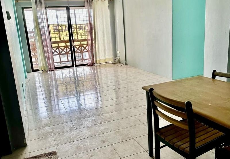 Evergreen Park Acorn and Hazel