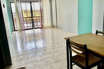 Evergreen Park Acorn and Hazel