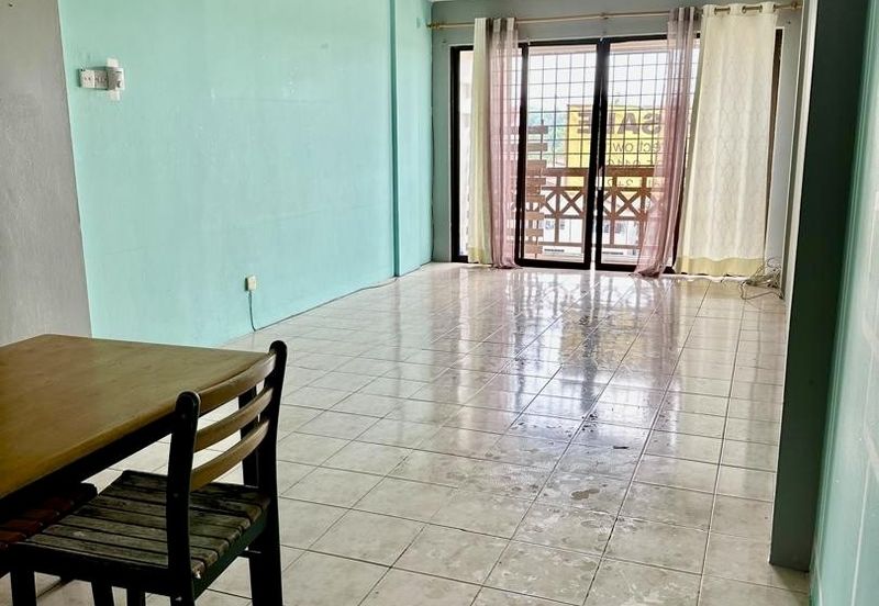 Evergreen Park Acorn and Hazel