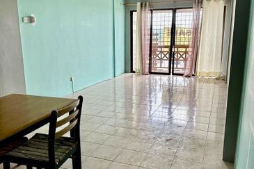 Evergreen Park Acorn and Hazel