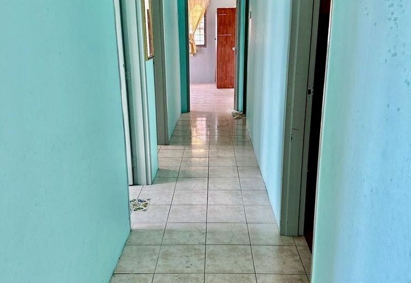 Evergreen Park Acorn and Hazel